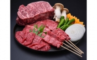《夏季限定》飛騨牛BBQセット　もも焼肉用300g・上カルビ焼肉用300g・牛串10本セット バーベキュー［E0021］