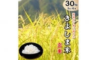 きよしま米【玄米】５kg×６袋[825]