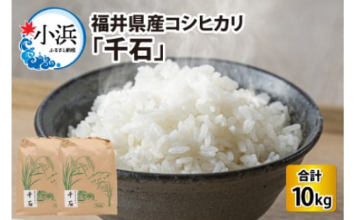 【令和7年産】福井県産コシヒカリ「千石」 10kg 小浜市 / 千石の郷 [BFCA001]