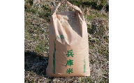 ＜令和5年産＞特別栽培米〈ヒノヒカリ〉精米30kg【1034120】