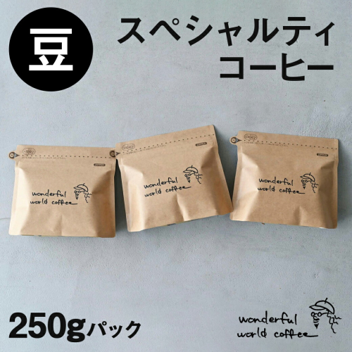 スペシャルティコーヒー(豆)250g×3袋セット_22-C501 76013 - 宮崎県都