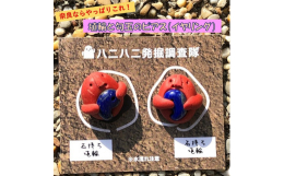 埴輪と勾玉のピアス（イヤリング）です。奈良橿原考古学研究所もある橿原！出土したものは数知れず。ピアスかイヤリングのどちらかをお選びいただけます。金具は写真のとおりです。勾玉の色はおまかせください。原材