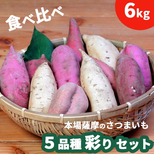 予約受付中 本場鹿児島さつまいも ５品種 食べ比べ 6kg 桜山ファーム 22年9月下旬から発送 鹿児島県枕崎市 Au Pay ふるさと納税
