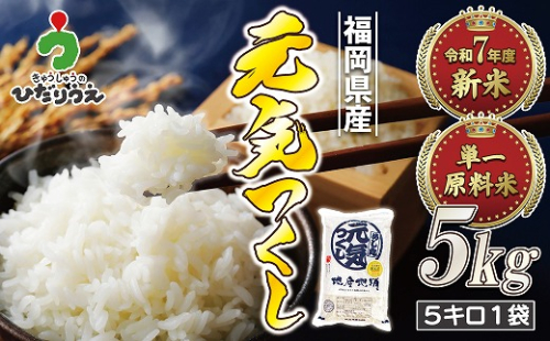 【令和7年産米】【2025年11月より順次発送】JAよりお届け！福岡県ブランド米「元気つくし」 5kg（5kg×1袋）[G2310] 76097 - 福岡県福津市