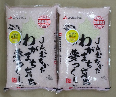 【福岡県産米】夢つくし10kg 令和6年産[F2234a] 76100 - 福岡県福津市