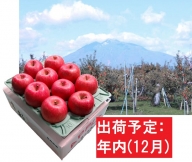12月  サンふじりんご「特A」約3kg 糖度13度以上(8～10玉程度） 【森山商店・平川市産・青森りんご・12月】