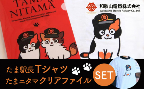たま駅長Tシャツ＜130cm＞・たまニタマクリアファイルセット 761714 - 和歌山県和歌山市