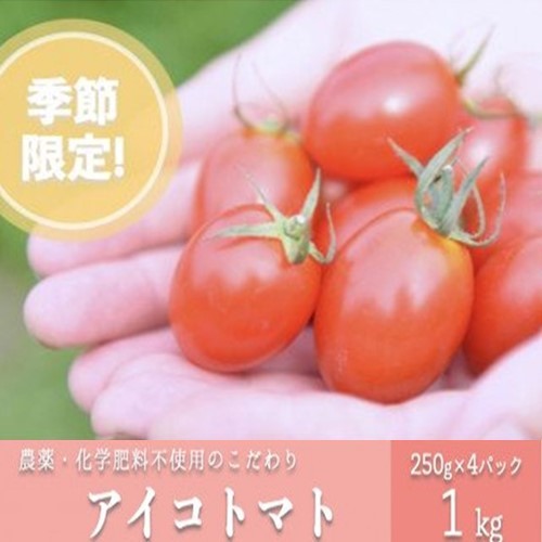 【予約受付】農薬・化学肥料不使用 河津さんの愛情たっぷりアイコトマト1kg