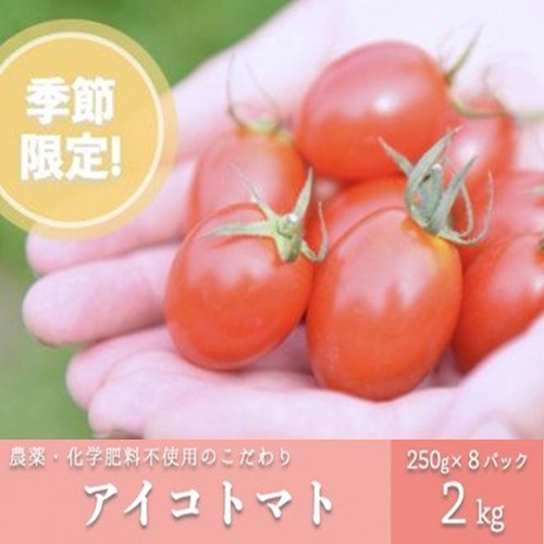 【予約受付】農薬・化学肥料不使用 河津さんの愛情たっぷりアイコトマト2kg