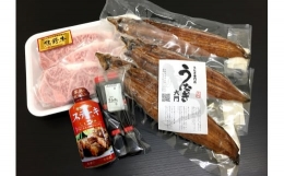 【ふるさと納税】豪華限定企画！熊野牛ステーキと国産炭火焼鰻の贅沢うな牛セットＢ