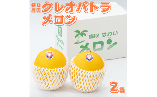 22K.樋口農園のクレオパトラメロン 2玉