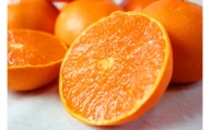 とろける食感！ジューシー柑橘　せとか　約3kg【予約】※2025年2月末頃～3月中旬頃発送(お届け日指定不可)【uot506】