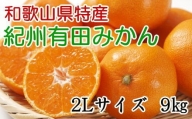 [秀品]和歌山有田みかん　9kg(2Lサイズ)   先行予約 ※2024年11月中旬～1月中旬頃順次発送 みかん 柑橘類