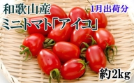 【1月発送】和歌山産ミニトマト「アイコトマト」約2kg（S・Mサイズおまかせ）