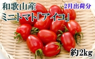 【2月発送】和歌山産ミニトマト「アイコトマト」約2kg（S・Mサイズおまかせ）