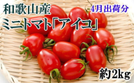 【4月発送】和歌山産ミニトマト「アイコトマト」約2kg（S・Mサイズおまかせ）
