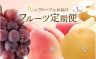 【3か月定期便】和歌山産フルーツ定期便！人気の桃・梨・ピオーネ　旬のフルーツを毎月お届け♪