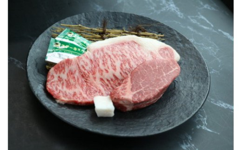 近江牛ヒレステーキ【120g×1枚】　＆　サーロインステーキ【150g×1枚】　【CO07W】

 76407 - 滋賀県近江八幡市