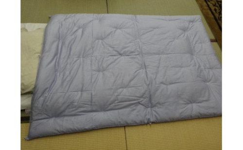 エジプト綿入り肌掛ふとん　（ブルー）【CW75U】 76411 - 滋賀県近江八幡市