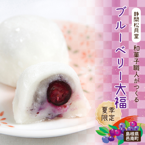 【期間限定】和菓子職人がつくるブルーベリー大福6コ入 2パック 76477 - 島根県邑南町
