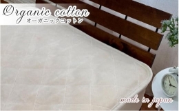 【ふるさと納税】オーガニックコットンのしっかり高密度敷毛布 セミダブルサイズ（120×205cm）OGS-120