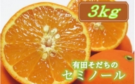 有田育ちの爽快セミノールオレンジ(ご家庭用)　約3kg　※2025年4月より順次発送予定