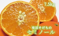有田育ちの爽快セミノールオレンジ(ご家庭用)　約７．５kg　※2025年4月より順次発送予定