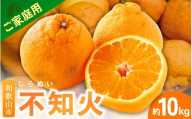 [3月下旬より発送][先行予約]家庭用不知火2.5kg+250g(傷み補償分)[デコポンと同品種・人気の春みかん][わけあり・訳あり] 和歌山 不知火 柑橘 くだもの フルーツ 果物 みかん[ikd053D]