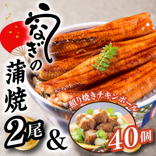 A1439.うなぎの蒲焼２尾＆照り焼きチキンボール４０個【新宮町Bセット】 76543 - 福岡県新宮町