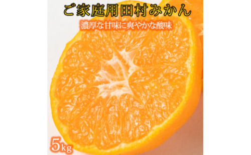 【ご家庭用訳あり】田村みかん　5kg ※2024年11月下旬頃〜2025年1月下旬頃発送(お届け日指定不可)【uot754A】