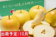 10月 贈答用 トキ 約3kg（糖度証明書付き） 【那由多のりんご園・平川市産・10月】