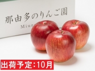 10月 贈答用 シナノスイート 約3kg（糖度証明書付き) 【那由多のりんご園・平川市産・10月】