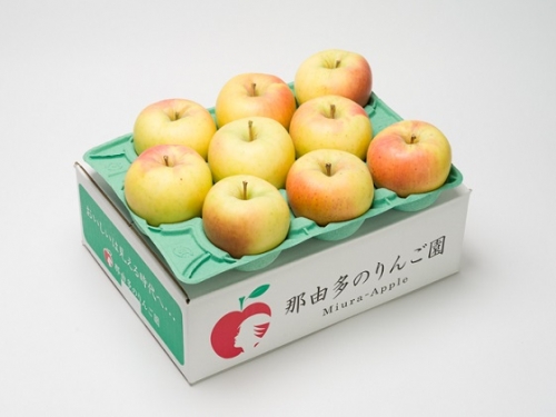 年明け 贈答用 ぐんま名月 約3kg(糖度証明書付き) 【那由多のりんご園・平川市産・1月・2月】 76569 - 青森県平川市