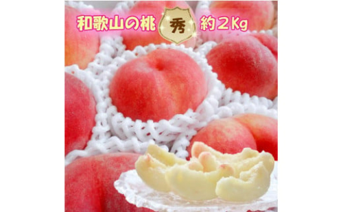 【秀品】和歌山ブランド白桃 約2kg！ 2026年8月発送分 766226 - 和歌山県和歌山市