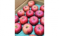 りんご（サンふじ）５ｋｇ　１２～２３個　ご家庭用　0065-2410