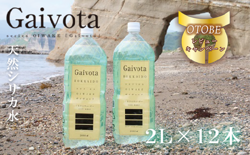 ＜Gaivota 2箱(2L×6本/箱)＞北のハイグレード食品 天然シリカ水 ミネラルウォーター 軟水 北海道産 北海道 乙部町 天然水 美容 ケイ素 無添加 シリカ ガイヴォータ 美肌 ミネラル 口当たり まろやか 備蓄 災害用 非常用