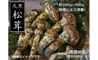 7-F01　松茸