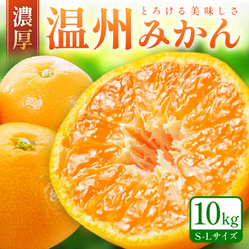 「濃厚な味のとろける美味しさ」温州みかん 10kg《先行予約》 76758 - 和歌山県御坊市
