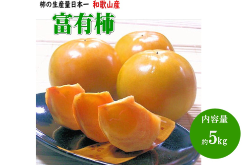 富有柿 5kg (18~24個) 和歌山産≪先行予約2025年10月下旬頃より順次発送分≫ 76759 - 和歌山県御坊市