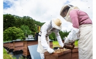 日本一に輝いた巣鴨養蜂園『完全おまかせ』はちみつ2本セット