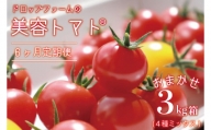 CK-5　ドロップファームの美容トマトおまかせ3kg箱(４種ミックス)6ヶ月定期便