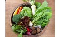 オーガニック野菜セット (約８種類）有機野菜 野菜 詰め合わせ
