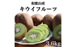 【ふるさと納税】ZE6187_和歌山産キウイフルーツ 約3.6kg