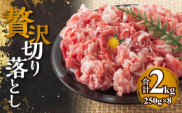 【北海道余市産 北島麦豚】子供たちに『健康な豚を食べさせたい』という想いから、北海道余市町の北島正樹さん家族が生産した「北島麦豚」 豚舎の広さは、北海道の平均的な豚舎の1.5倍。のびのびとした豊かな環