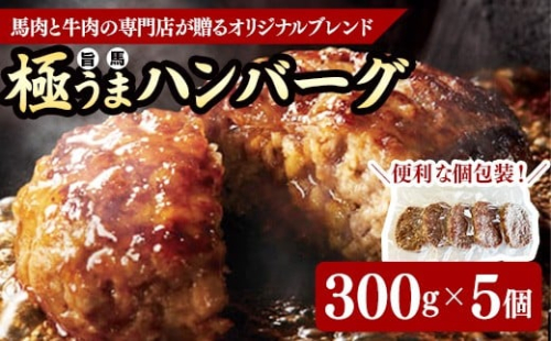 極うま 馬肉ブレンド ハンバーグ 300g 5個（冷凍便） 771162 - 山形県飯豊町