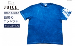 【ふるさと納税】[No.5313-7040]0253Tシャツ ASCENSION 藍染め タイダイ TシャツF 1枚 L