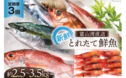 【ふるさと納税】[?5313-0009]定期便 魚 富山湾直送 とれたて鮮魚セット 約2.5〜3.5kg×3回 旬 新鮮 鮮魚 詰め合わせ 産地直送 冷蔵 / く
