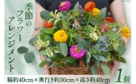 [№5313-0180]季節のフラワーアレンジメント 1個 花 生花 アレンジメント