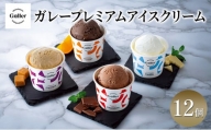 [№5313-0265]ガレープレミアムアイスクリーム 12個