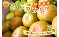 7月8月の御浜柑橘　温室みかん2キロ 果物 フルーツ みかん 温室みかん 2kg